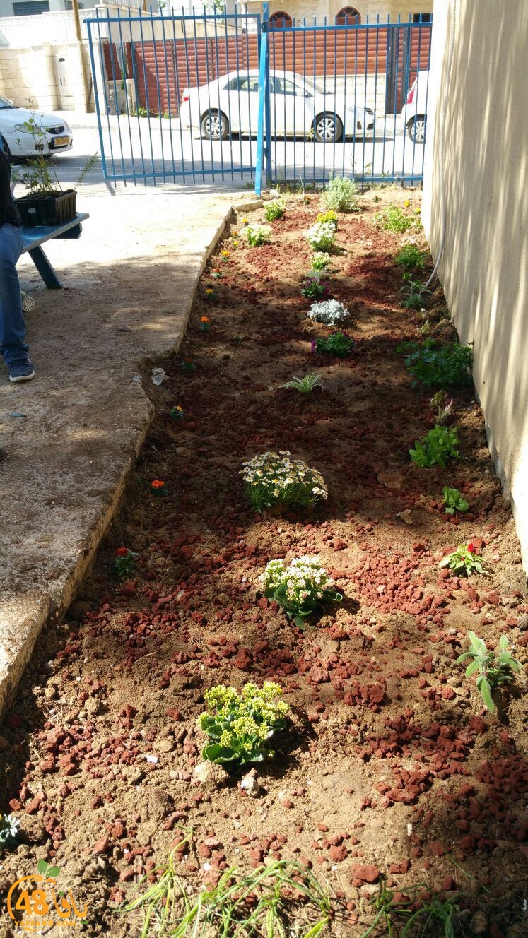 tomashin lduaj (12).jpg